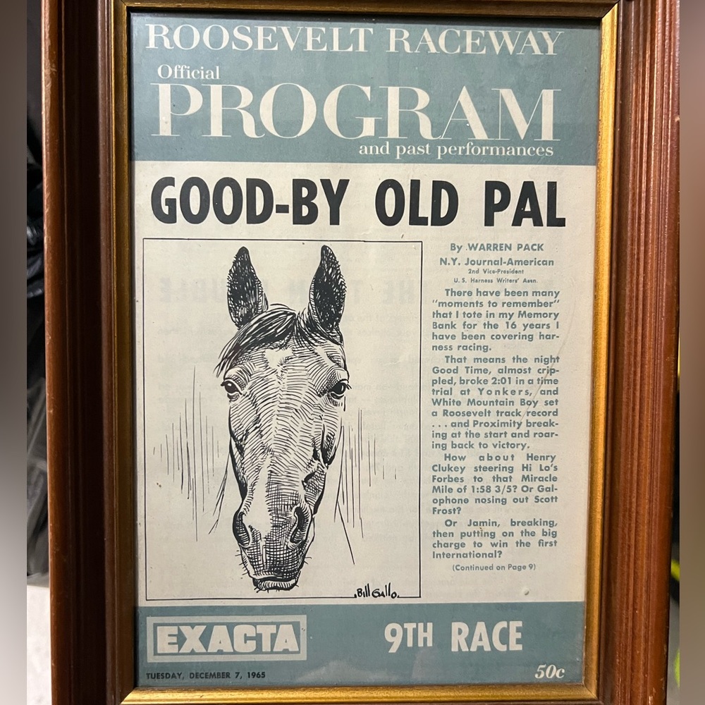 Roosevelt Raceway Official Horse Racing Program 1965